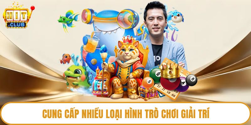 Cung cấp nhiều loại hình trò chơi giải trí