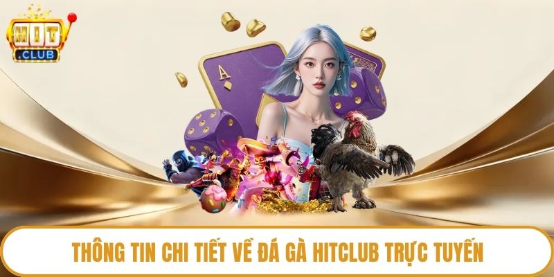Thông tin chi tiết về đá gà HitClub trực tuyến